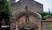 Randonnée Marche Montferrer - Montferrer . El Castel . Puig de Vilafort -  retour par la piste  - Photo 1