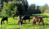 Tour Zu Fuß Gomadingen - Planetenweg - Photo 2