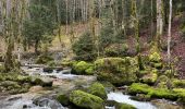 Tour Wandern Menétrux-en-Joux - cascades des herissons - Photo 9