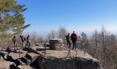 Trail Walking Ottrott - Mont Sainte-Odile - Tour du mur Païen - Photo 13
