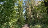 Trail Walking Wezembeek-Oppem - S-GR Dijleland : Tervuren - Sint-Joris-Weert - Photo 7