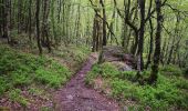 Percorso Marcia Bogny-sur-Meuse - sentier nature - Photo 3