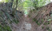 Trail Walking Assesse - Crupet 101023 - Photo 20