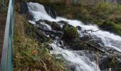 Tocht Stappen Stavelot - 20201110 - Coo 7.5 Km - Photo 17