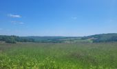 Randonnée Marche Wellin - rando daverdisse 19-05-2025 - Photo 2