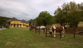 Percorso Equitazione Lobsann - Lobsann et alentours - Photo 2