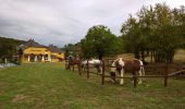 Tour Reiten Lobsann - Lobsann et alentours - Photo 2