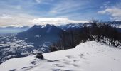 Tour Schneeschuhwandern Château-Bernard - Les Crêtes de La Ferrière - Photo 4