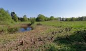 Percorso A piedi Sconosciuto - Poppenbüttel - Alsterquelle - Meeschensee (P-AQ-ME) - Photo 8