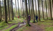 Tocht Stappen Tenneville - Erneuville - Photo 6