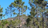 Tour Wandern Saint-Raphaël - Dent et Pic de l'Ours - Pic d'Aurelle depuis le Col Belle Barbe - Photo 5