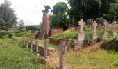 Percorso A piedi Mosbach - Rundwanderweg Knopfwald 2: Galgenforlen-Weg - Photo 6