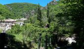 Trail Walking Aumessas - Aumessas-27-05-21 - Photo 4