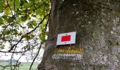 Tour Wandern Tenneville - Boucle agricole - Le circuit de la ferme des Frênes  - Photo 8