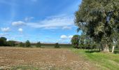 Tour Wandern Ellezelles - La Hamaide 10 km - Photo 12