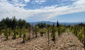 Tour Wandern Cairanne - PF-Cairanne - Sentier Magnum - Photo 11