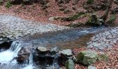 Trail Walking Aywaille - sedoz - vert-buisson (via ninglinspo) - porallée - vieux chera - sedoz - Photo 20