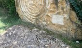 Tour Wandern Val-Revermont - Le mont Myon  - Photo 7