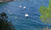 Tocht Stappen Llançà - Llança du port al cau del llop - Photo 2