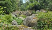 Excursión Senderismo Soisy-sur-École - Soizy-sur-Ecole - La Padole - Photo 14