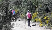 Tocht Stappen Aínsa-Sobrarbe - el grado Guaso Sierra puis voiture jusqu'à Sarratillo - Photo 5