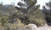 Randonnée Marche Évenos - col de garde destel - Photo 8