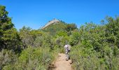 Tocht Stappen La Farlède - La farlède-Tourris - Photo 4