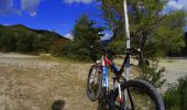 Trail Mountain bike Castellane - vtt-de-castellane-au-lac-de-castillon - Photo 2