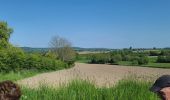 Randonnée Marche Plombières - hombourg - Photo 6