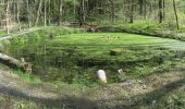 Percorso A piedi Poppenhausen - Milseburg - Rhönrundweg 4 - Photo 6