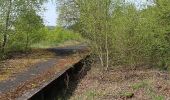 Excursión A pie Bad Endbach - Wanderweg E16 / Schmetterlingsweg - Photo 9