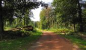 Tour Wandern Haramont - en forêt de Retz_79_08_2019_vers Taillefontaine et Retheuil par les lisières - Photo 5