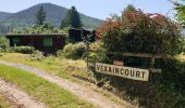 Tour Wandern Vexaincourt - Le charme mystérieux du lac de la Maix - Photo 20