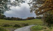 Tocht Stappen Comblain-au-Pont - oneux . chanbralles . croix septroux . hoyemont . oneux  - Photo 1