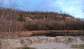 Trail Walking Riemst - montagne St-Pierre / St Pietersberg - Photo 15