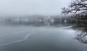 Excursión Raquetas de nieve Besse-et-Saint-Anastaise - Lac pavin pealat  - Photo 7