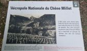 Tour Wandern Metzeral - Tour Steinabruck - Mittlach - Photo 11