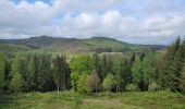 Tour Wandern Libin - rando redu  11-05-2023 - Photo 8