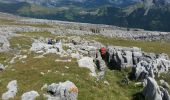 Trail Walking Puértolas - Les Sestrales depuis le col de Plana Canal  - Photo 2