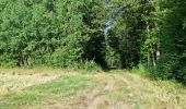 Tour Wandern La Ferrière - La Ferrière - Photo 15