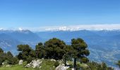 Tour Wandern Saint-Pierre-d'Entremont - La Croix de l’Alpe 10,7 km - Photo 2