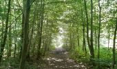 Tour Wandern Namen - aiguilles et forêt domaniale de Marche les Dames - Photo 7