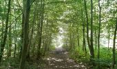 Excursión Senderismo Namur - aiguilles et forêt domaniale de Marche les Dames - Photo 7