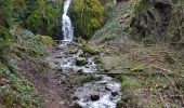 Tour Wandern Oberhaslach - Oberhaslach - Porte de Pierre - Rocher de Mutzig - Cascade de Soultzbach - Photo 11