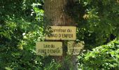 Trail Walking Oigny-en-Valois - en forêt de Retz_81_vers les étangs de Bourcq et sur le GR11 - Photo 5
