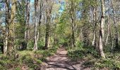 Trail Walking Liège - angleur gare . sart tilman via bois St Laurent.retour via bois St jean - Photo 15