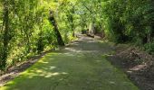 Tocht Stappen Les Trois-Îlets - habitation vatable et ses plantations  - Photo 20