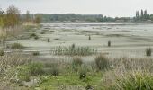 Tour Wandern Hamme - Kastel 15,5 km - Photo 13