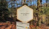 Trail Walking La Roche-en-Ardenne - rando samrée 26/11/2020 - Photo 7