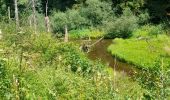 Tocht Stappen Lierneux - Lierneux- Regné terug via de oude trambaan - Photo 7